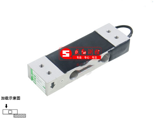 LPS�Q�؂�����